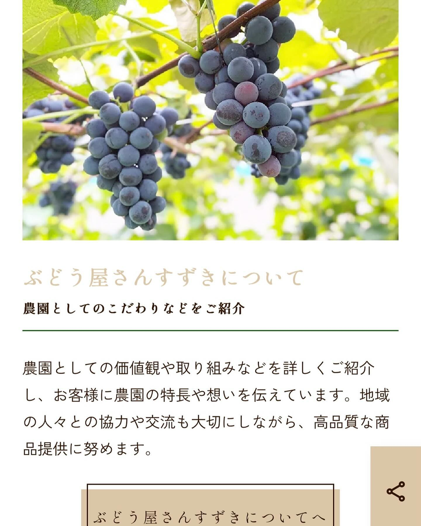 ぶどう屋さんすずきです🍇