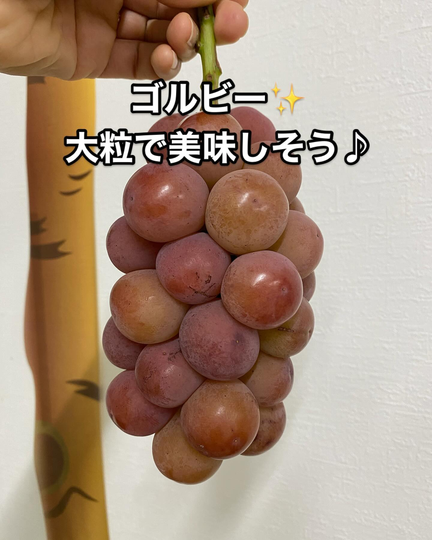 ぶどう屋さんすずきです🍇