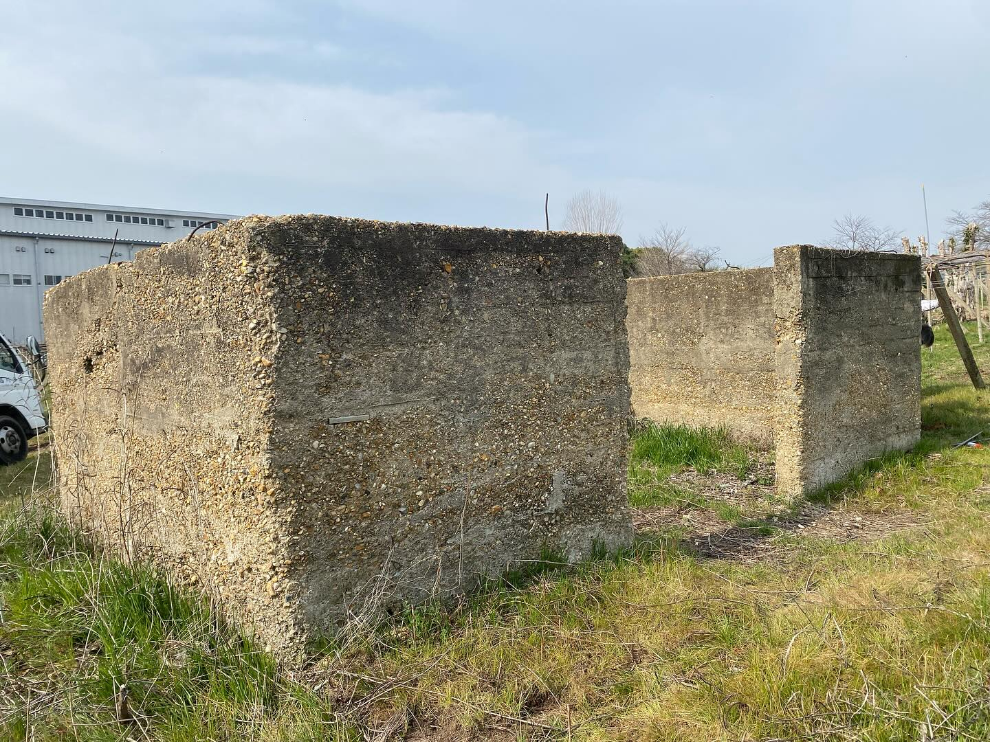 おはようございます☀