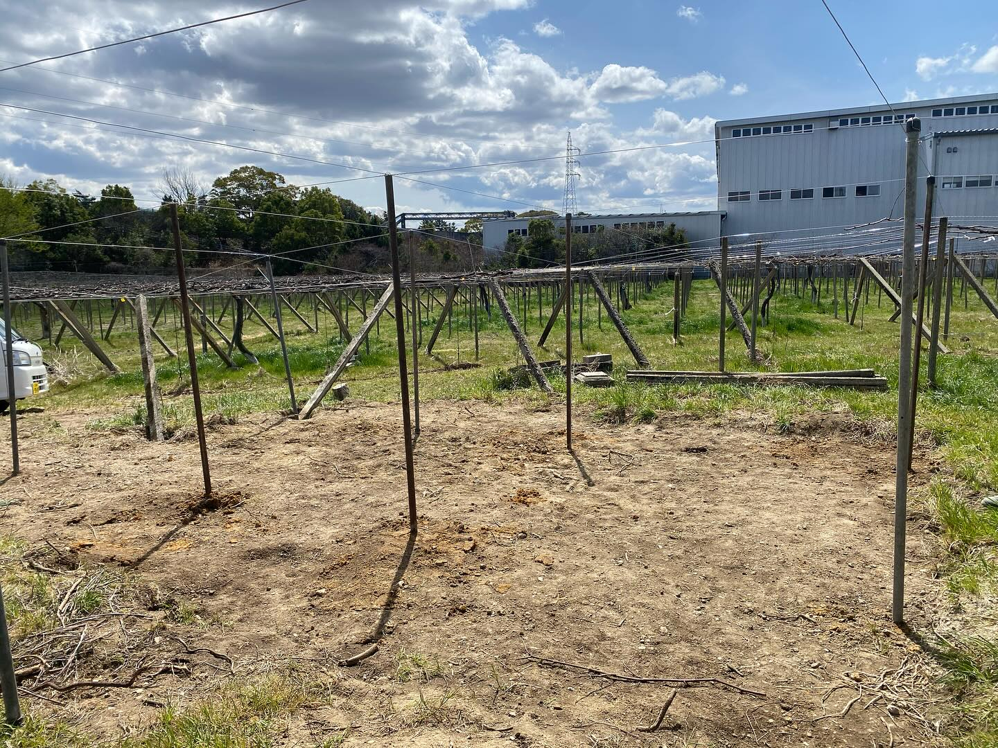 おはようございます☀