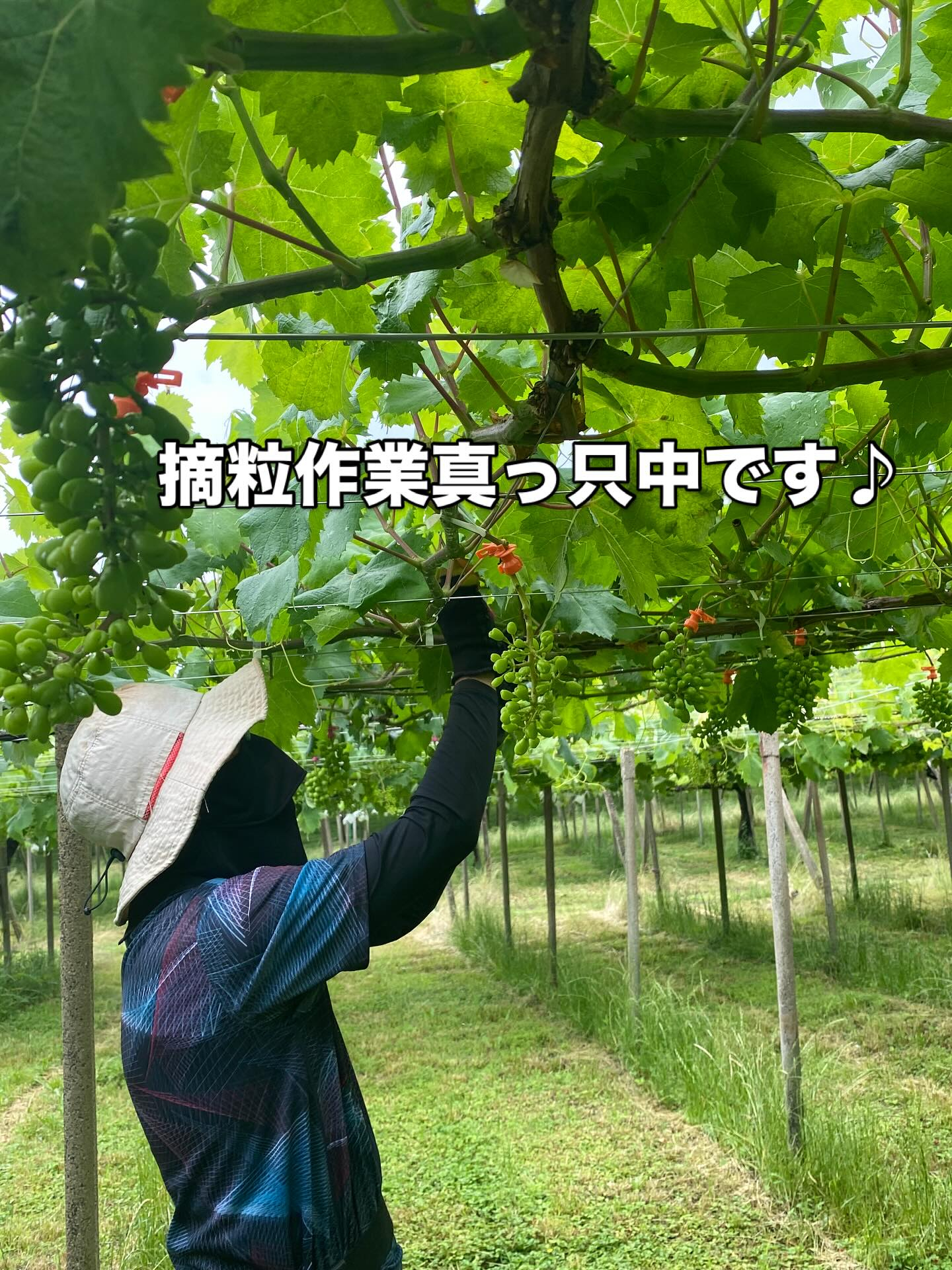 おはようございます☀