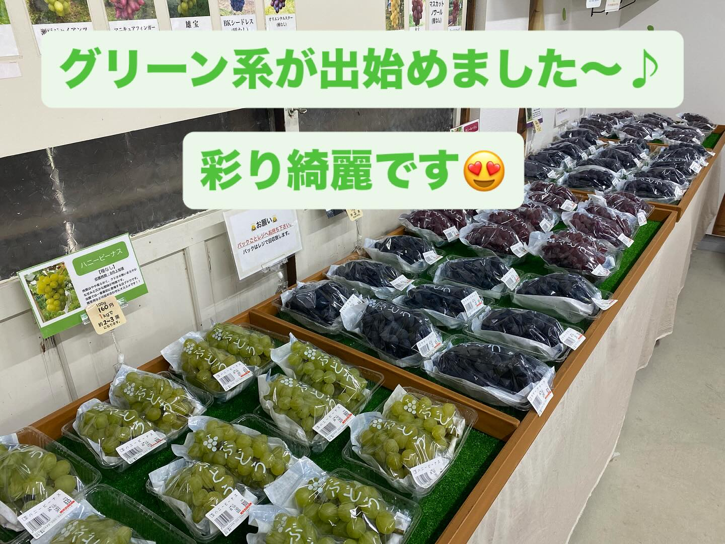 おはようございます🌞