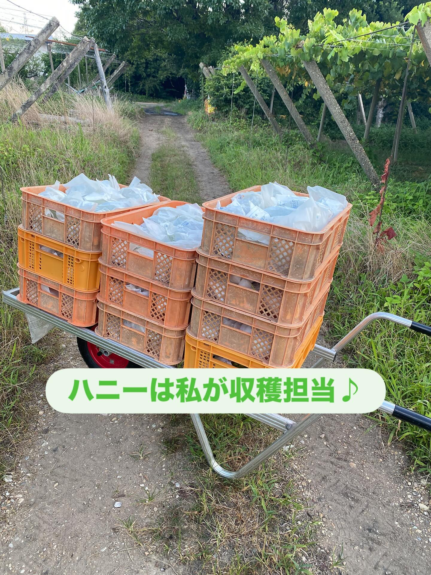 おはようございます♪