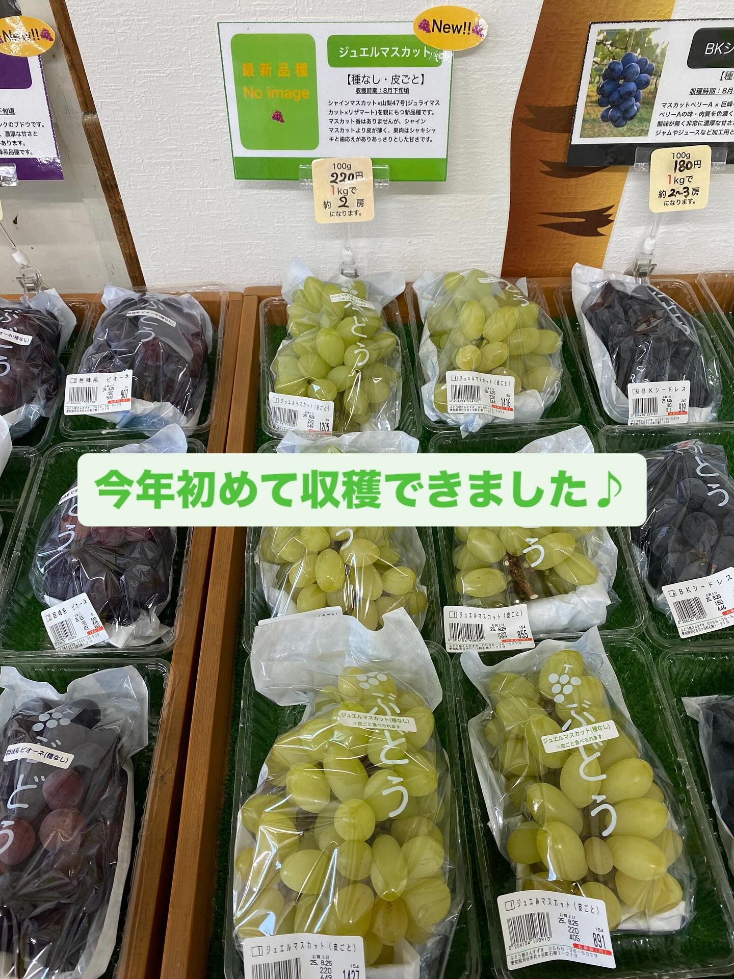 おはようございます☀