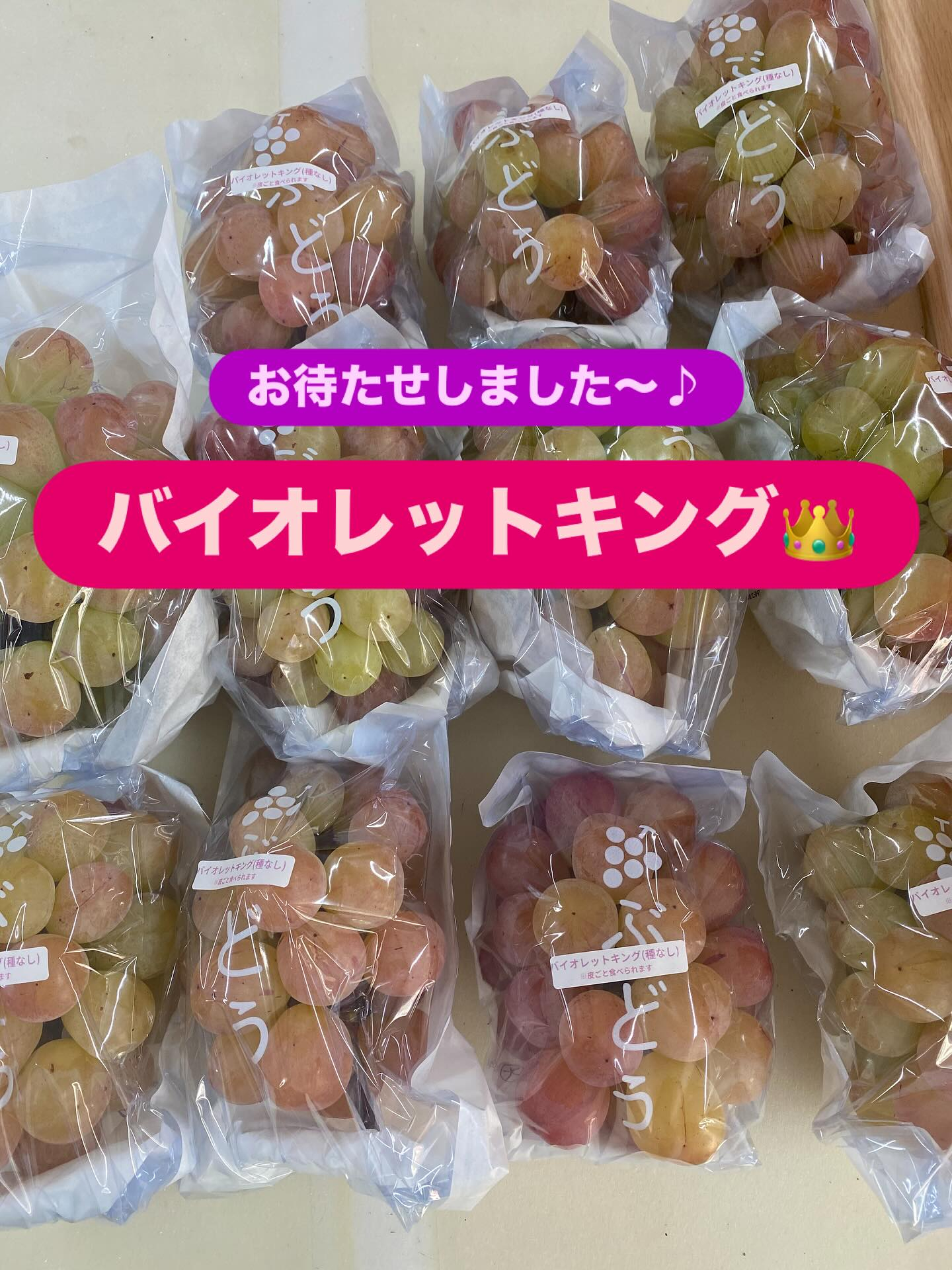 おはようございます♪