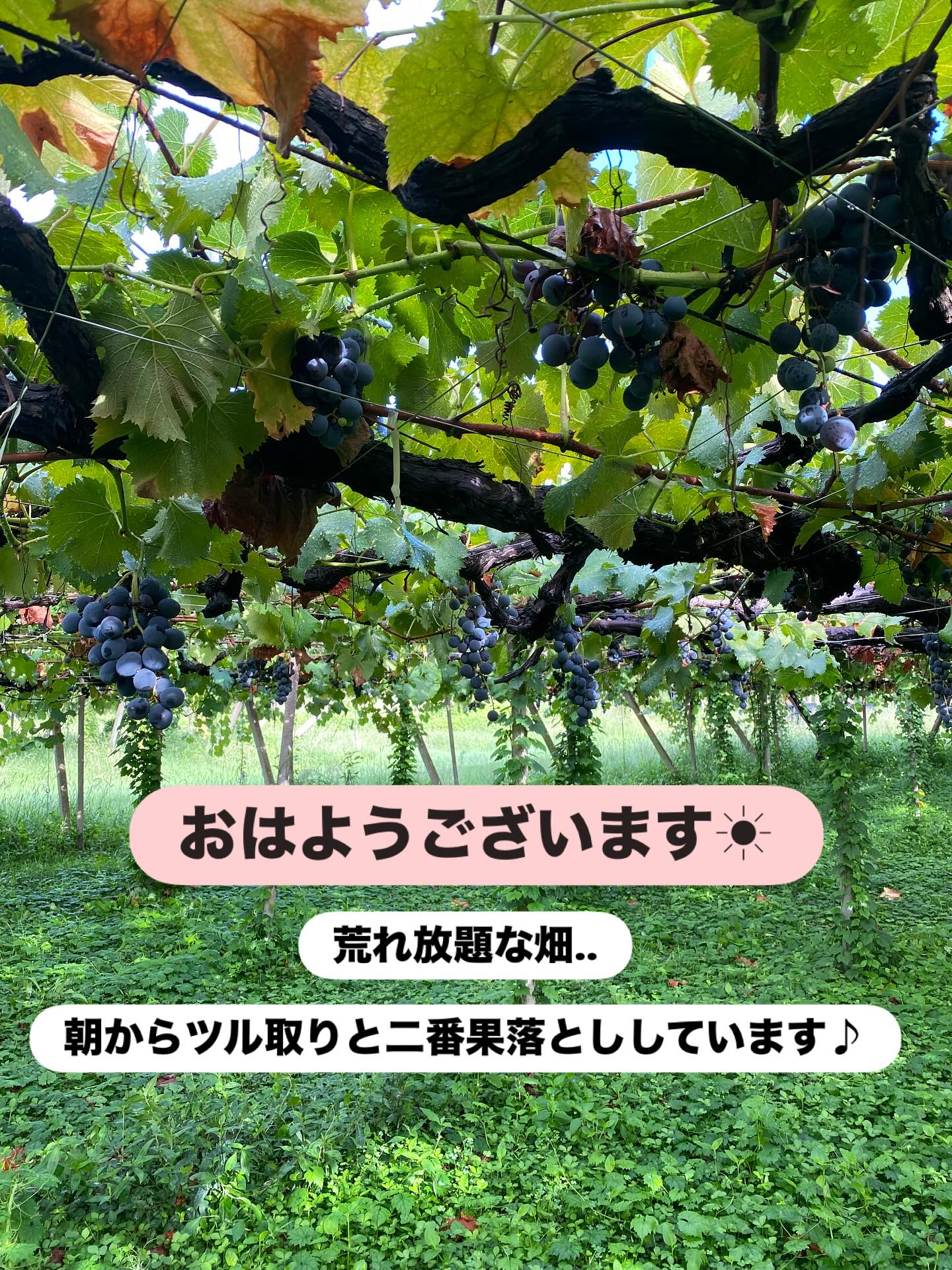 おはようございます☀