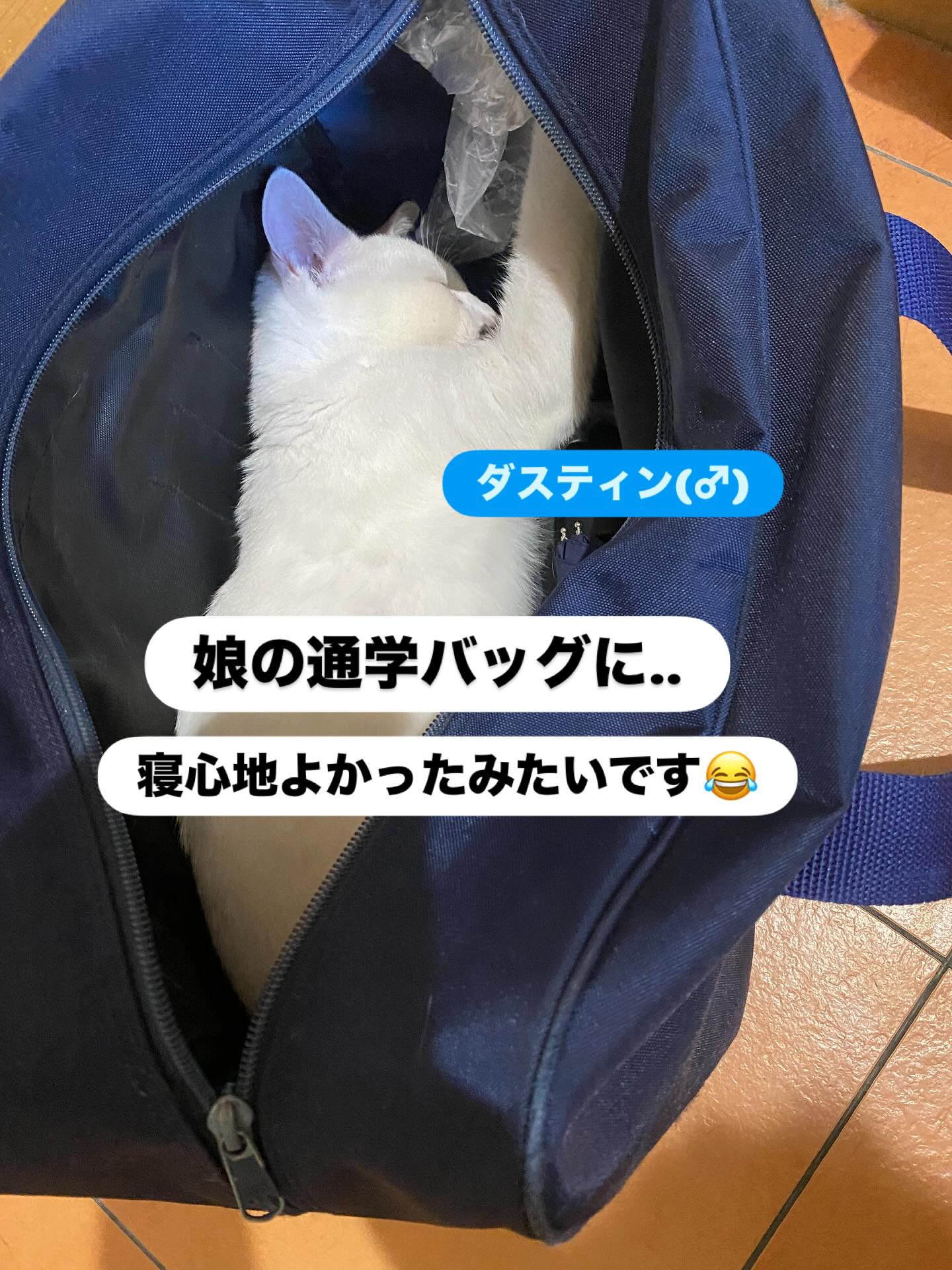 おはようございます♪