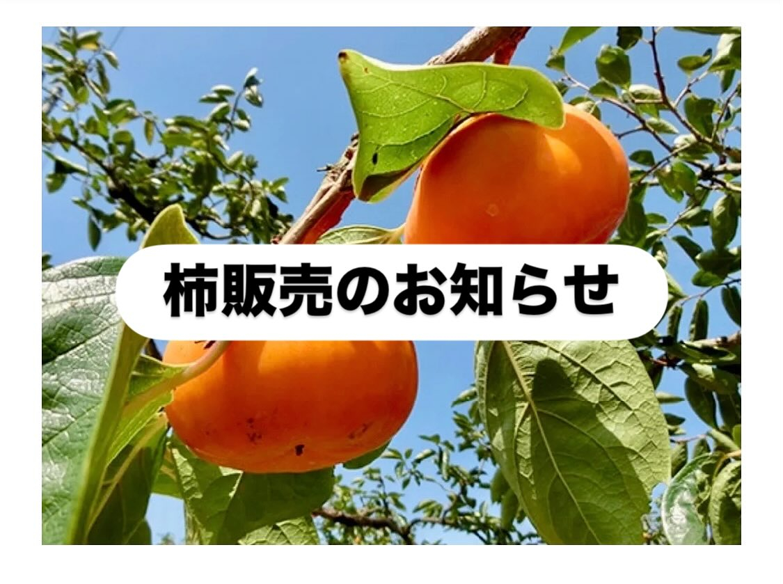 おはようございます♪