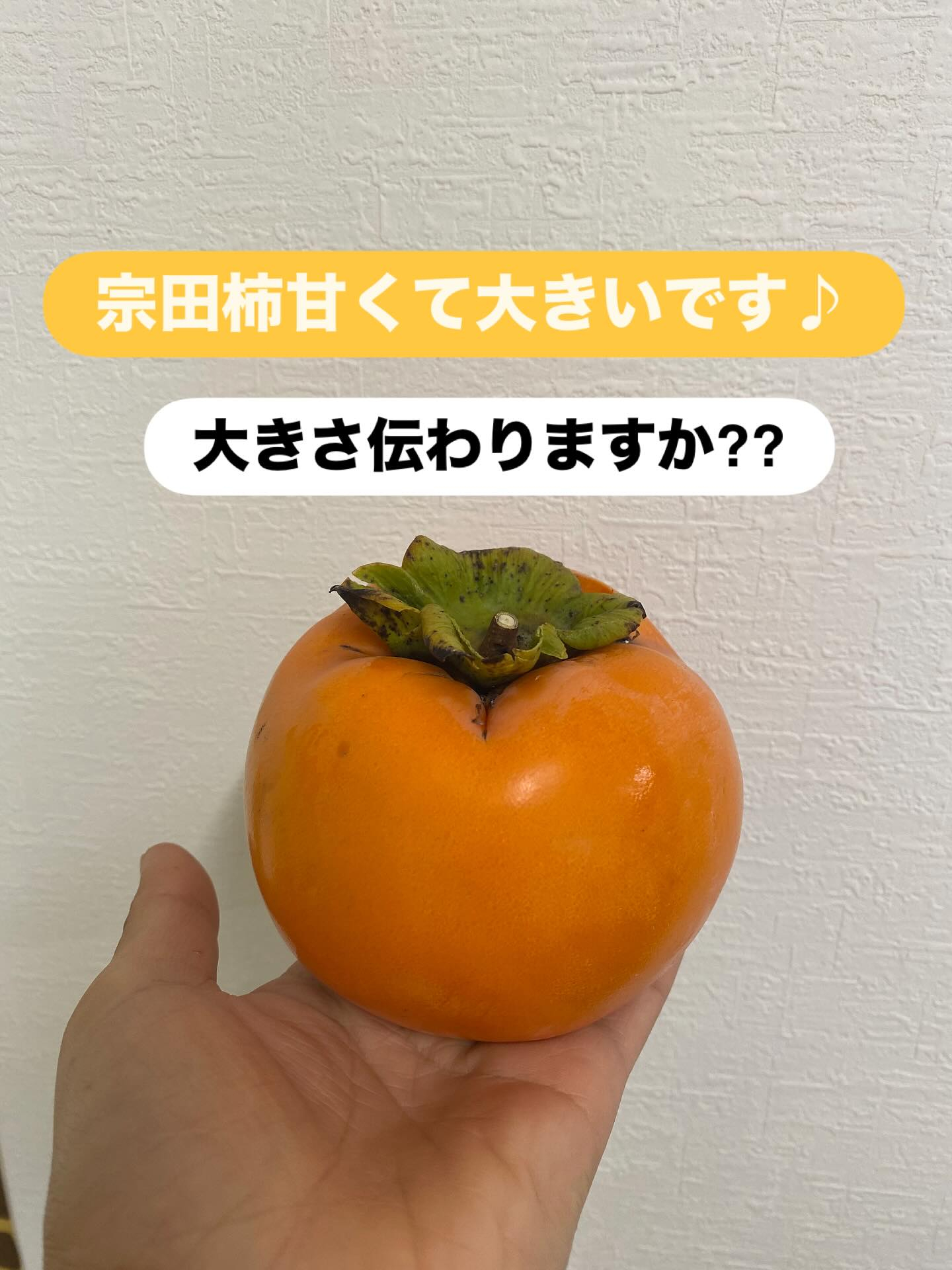 おはようございます😃