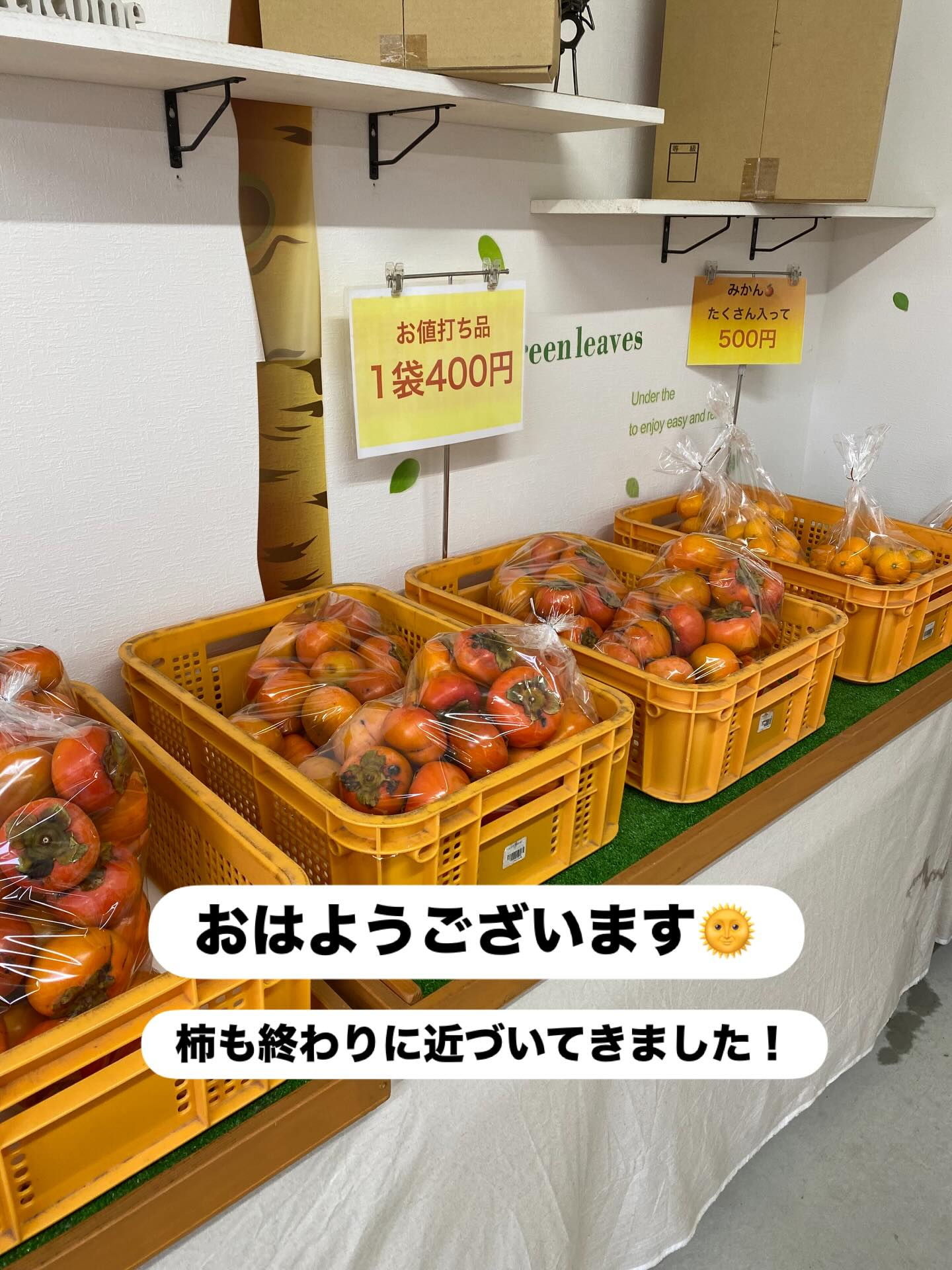 おはようございます☀