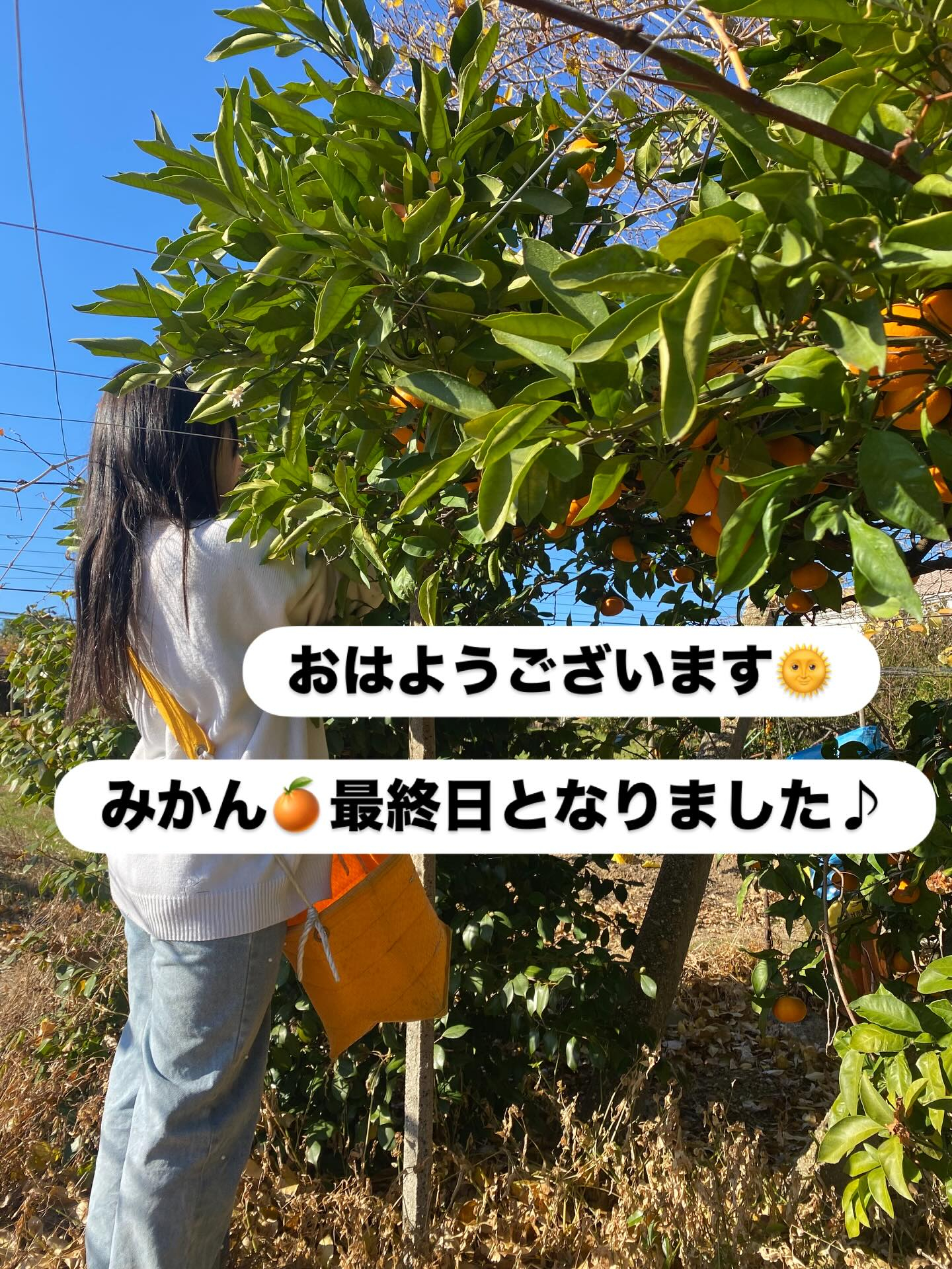 おはようございます😃