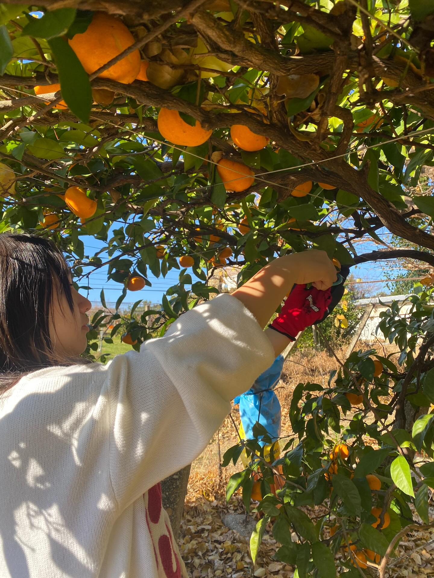 おはようございます😃