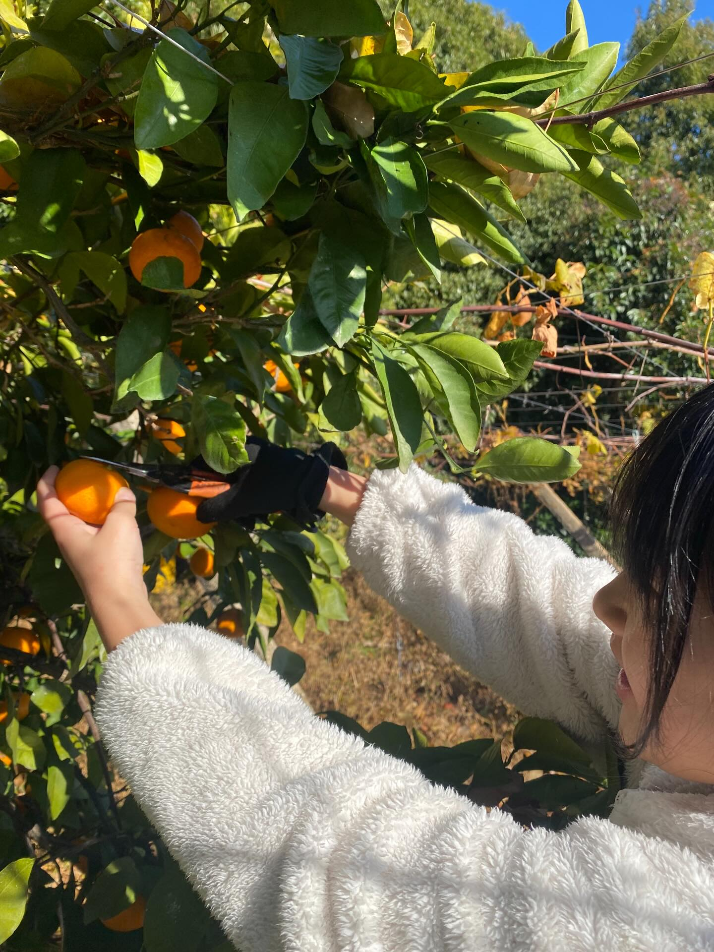 おはようございます😃