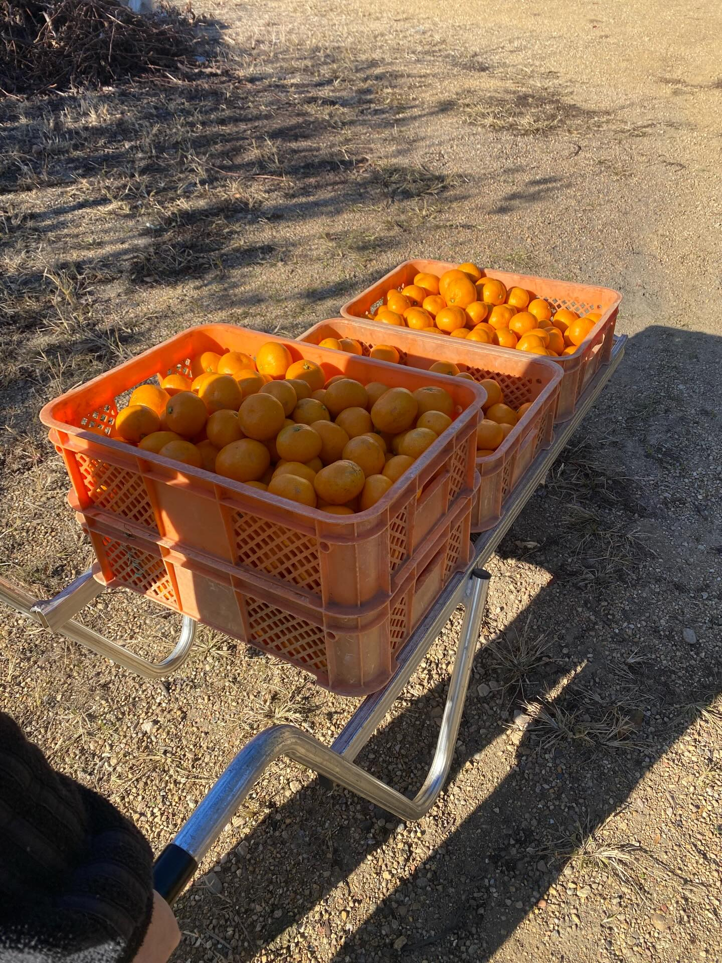 おはようございます😃