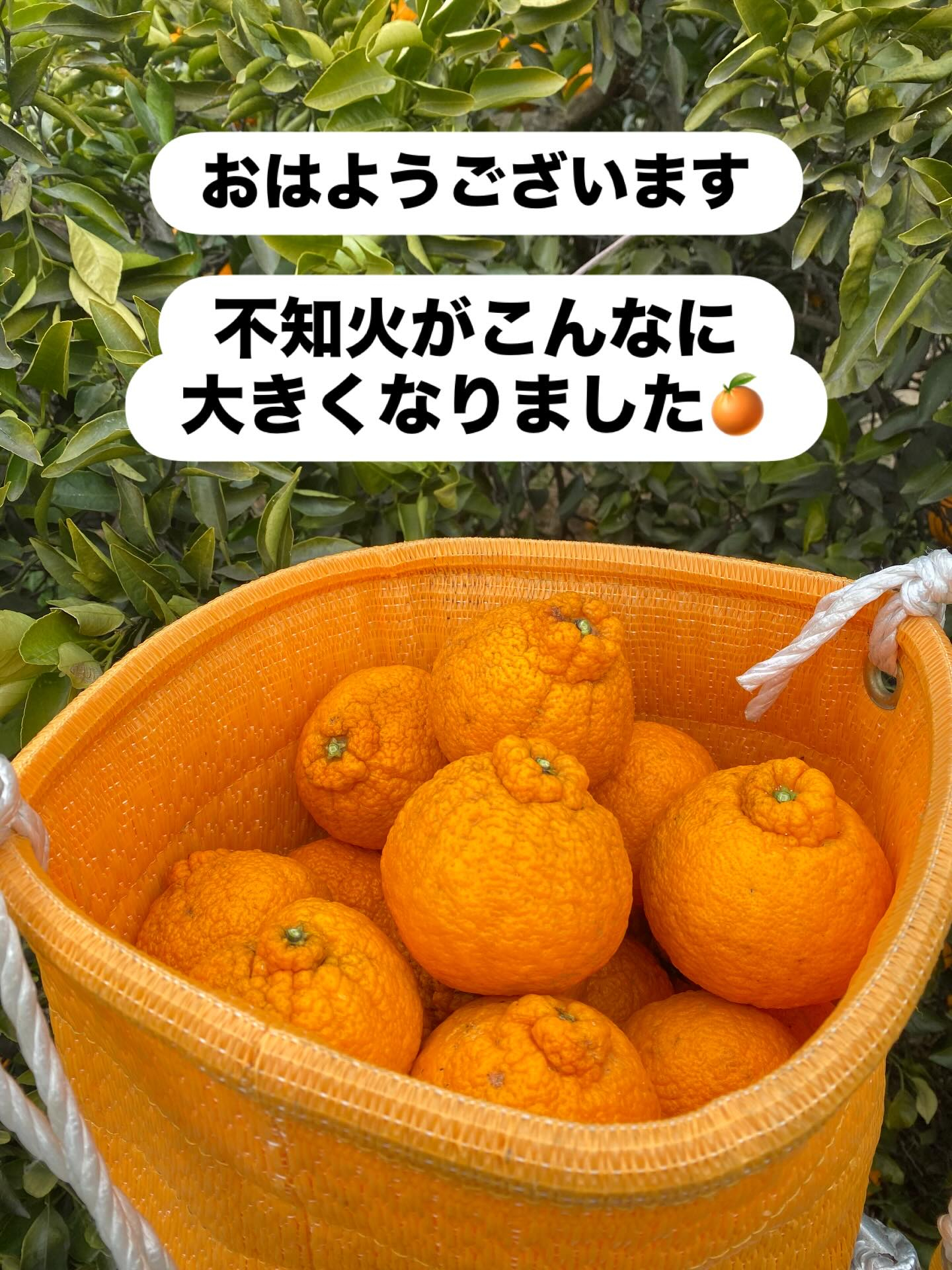 おはようございます😃