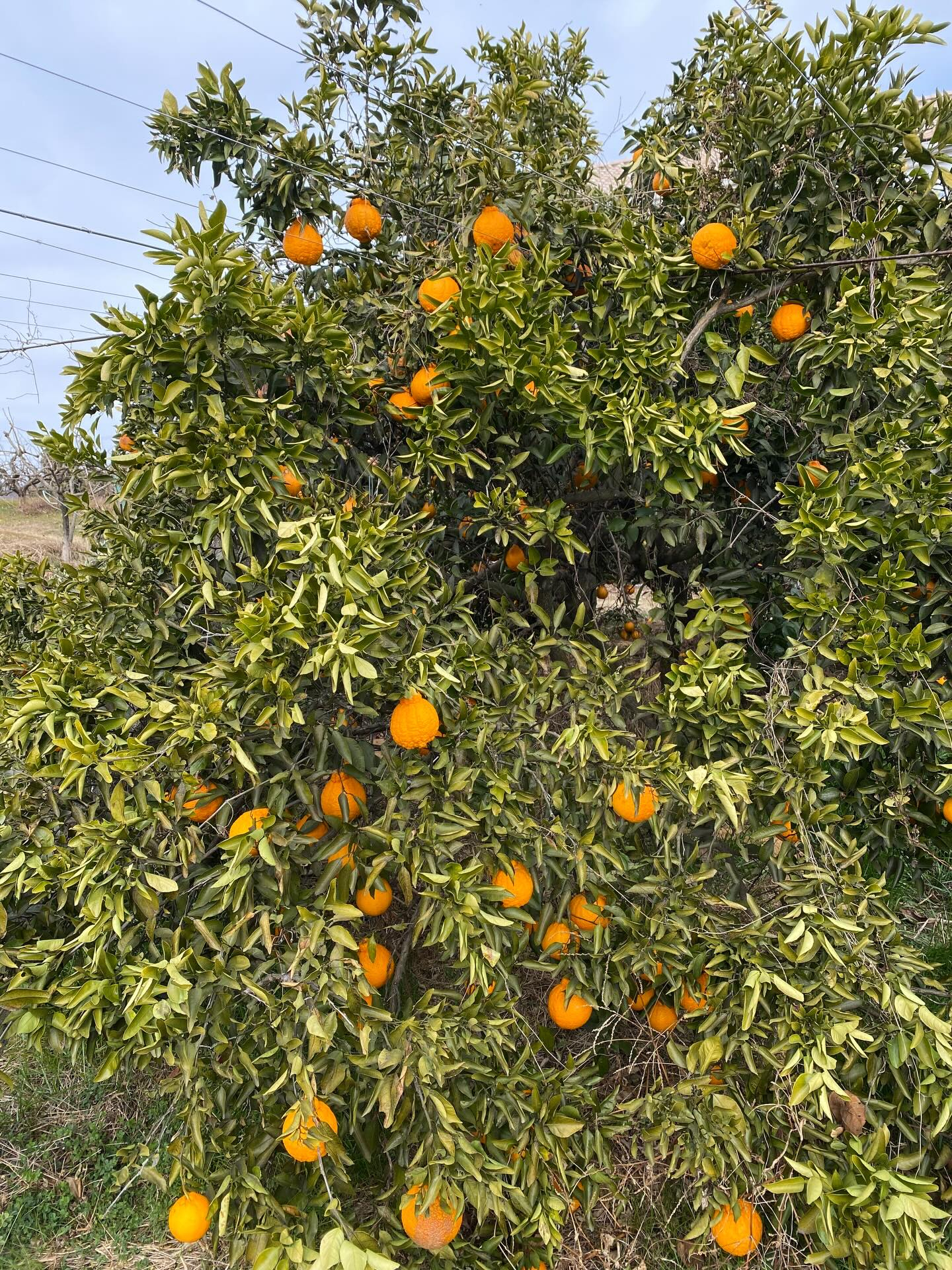 おはようございます😃