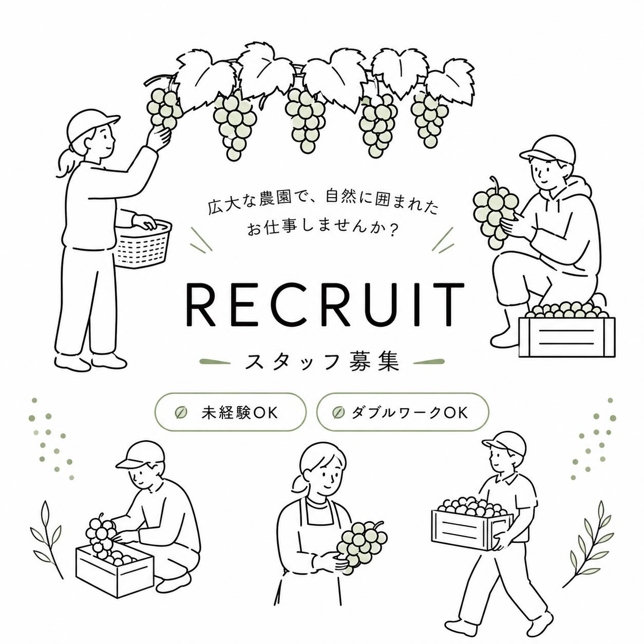 ぶどう屋さんすずきです🍇