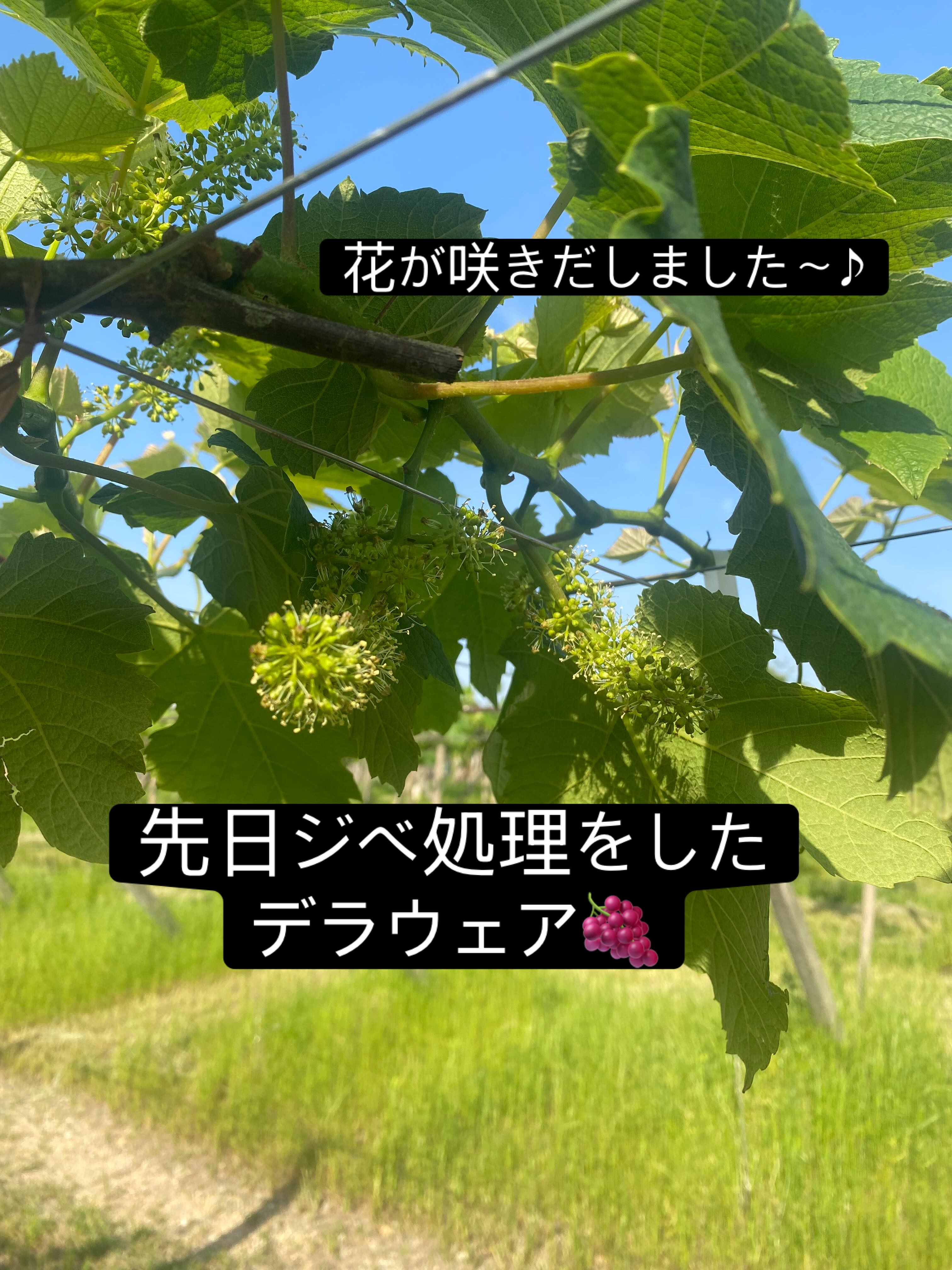 おはようございます🌞
