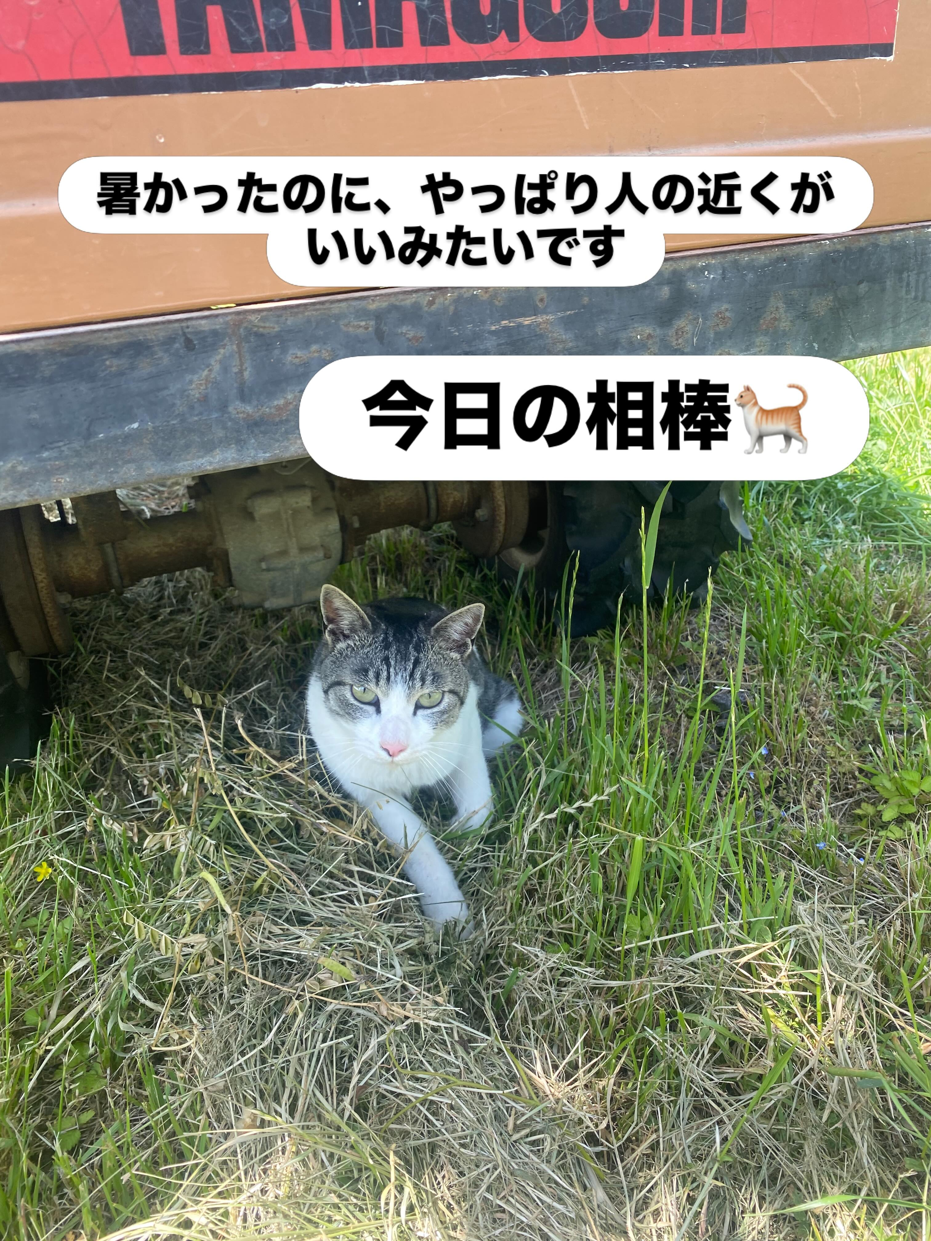ぶどう屋さんすずきです🍇