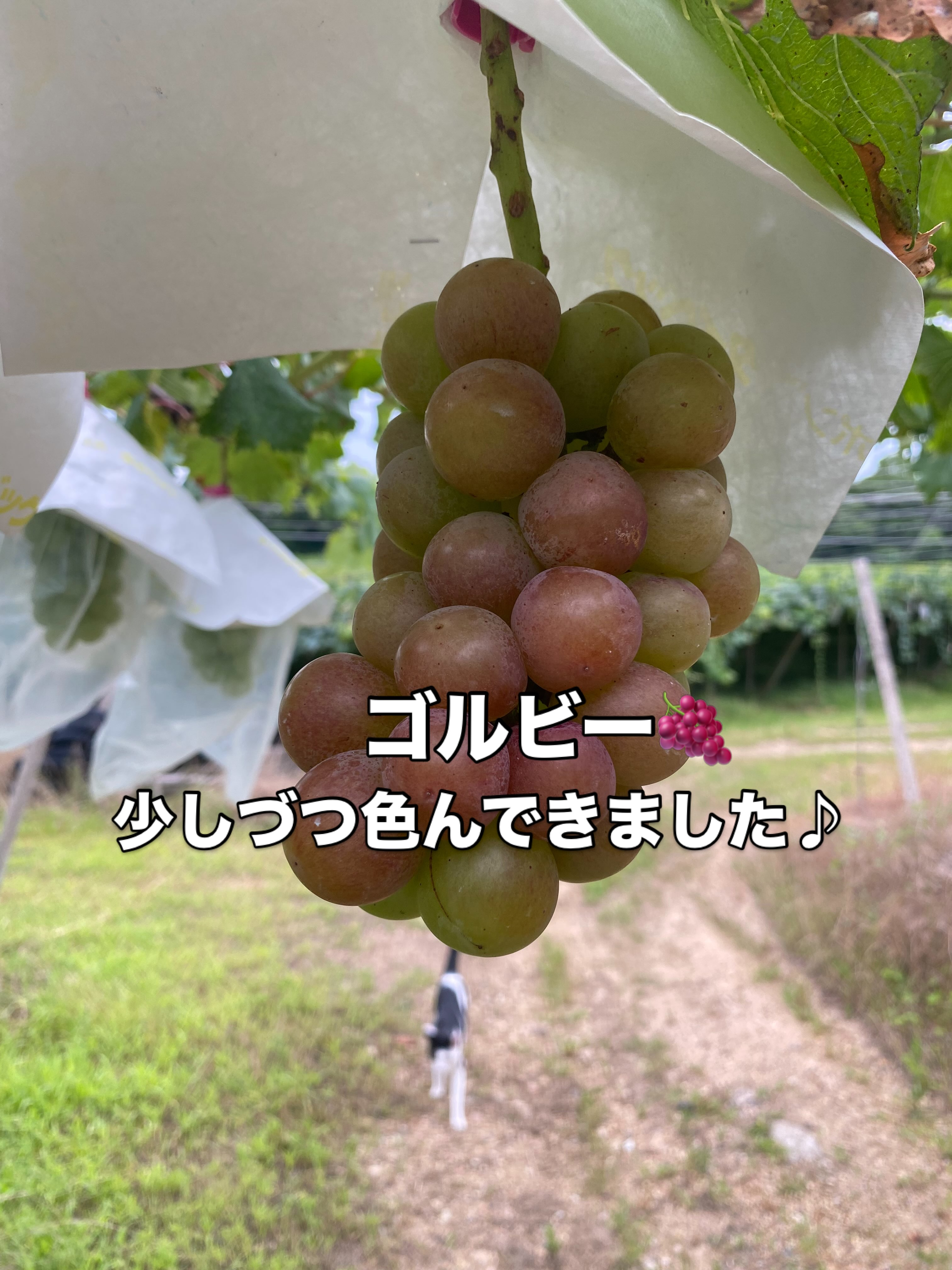 おはようございます🌞