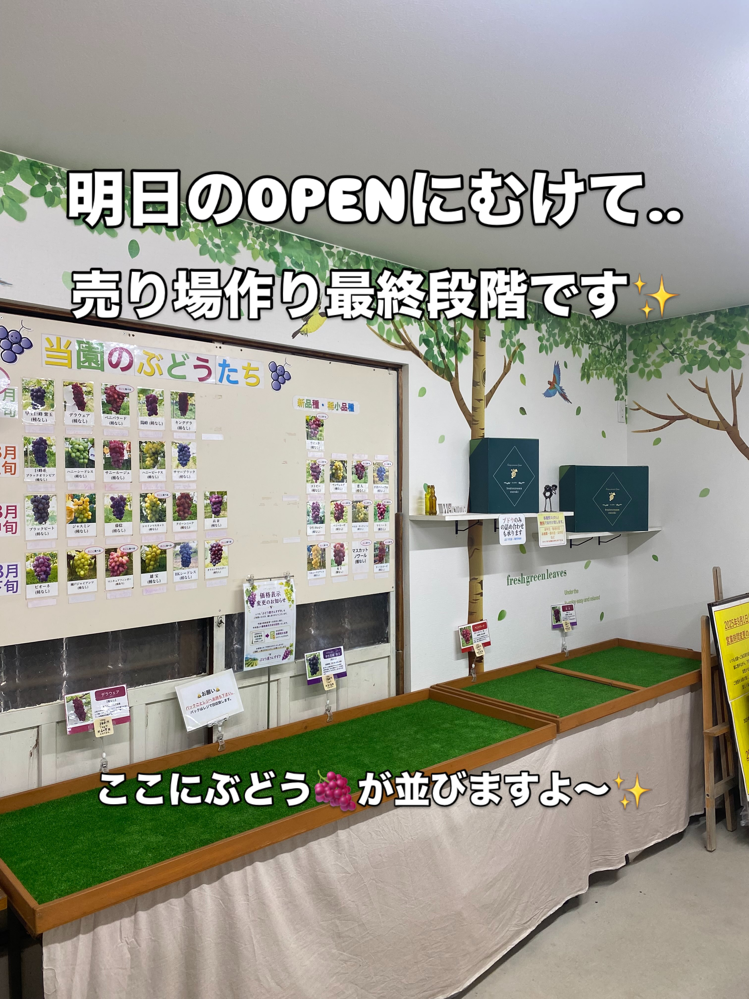 おはようございます😃