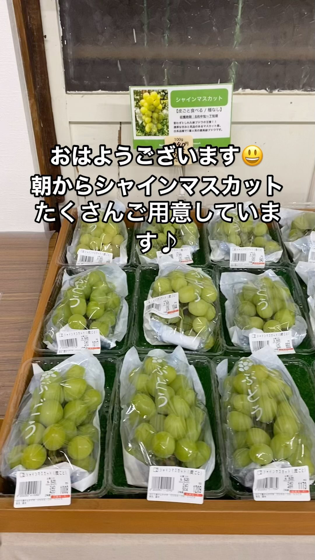 ぶどう🍇屋さんすずきです♪