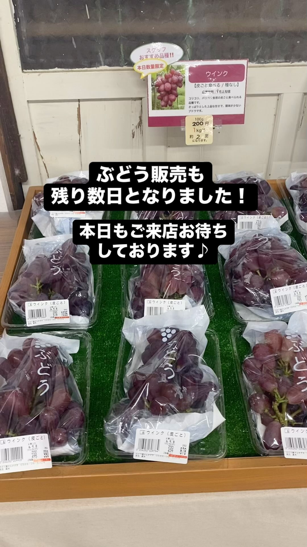 ぶどう屋さんすずきです🍇