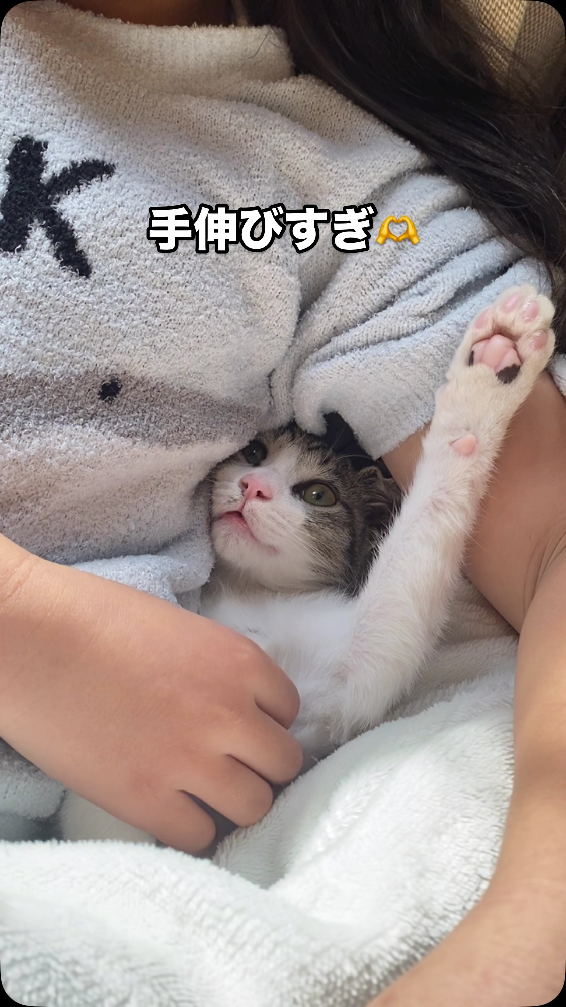 おはようございます🌞