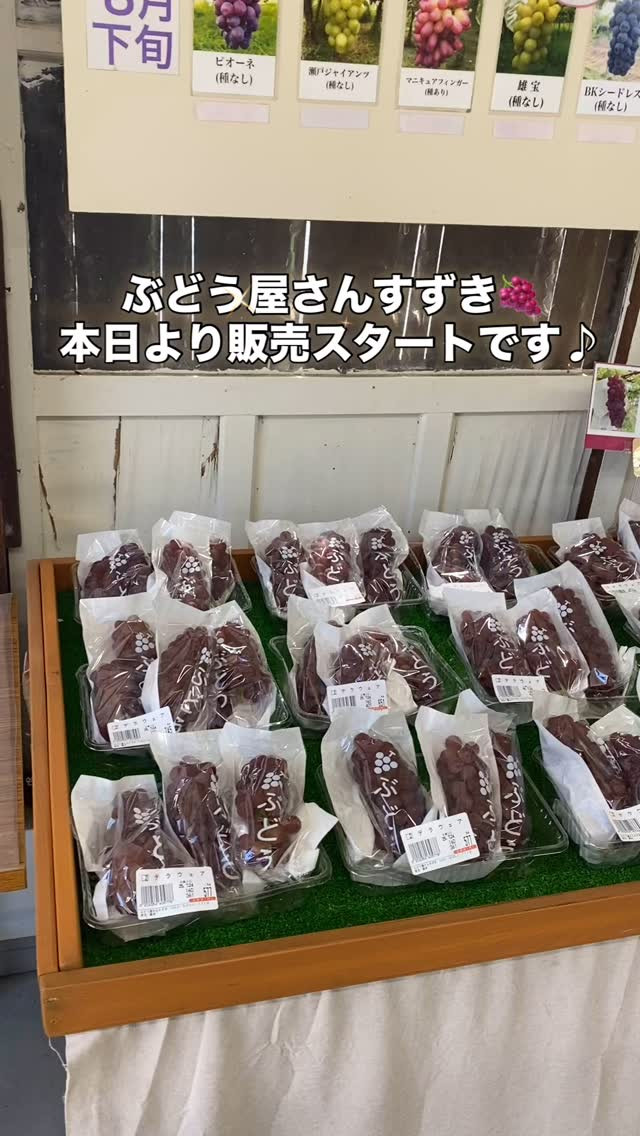 ぶどう屋さんすずき🍇本日より販売スタートです♪