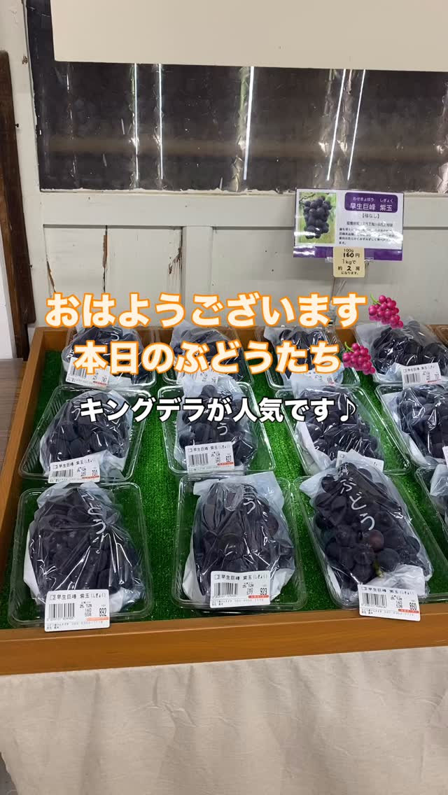 おはようございます😃ぶどう屋さんすずきです🍇