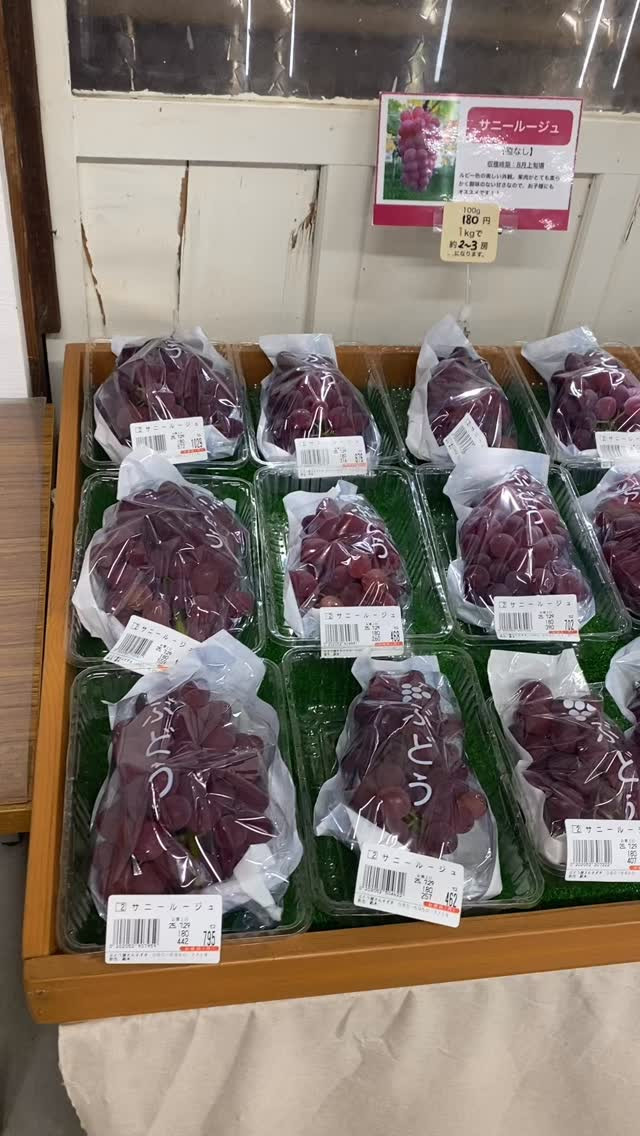 ぶどう屋さんすずきです🍇