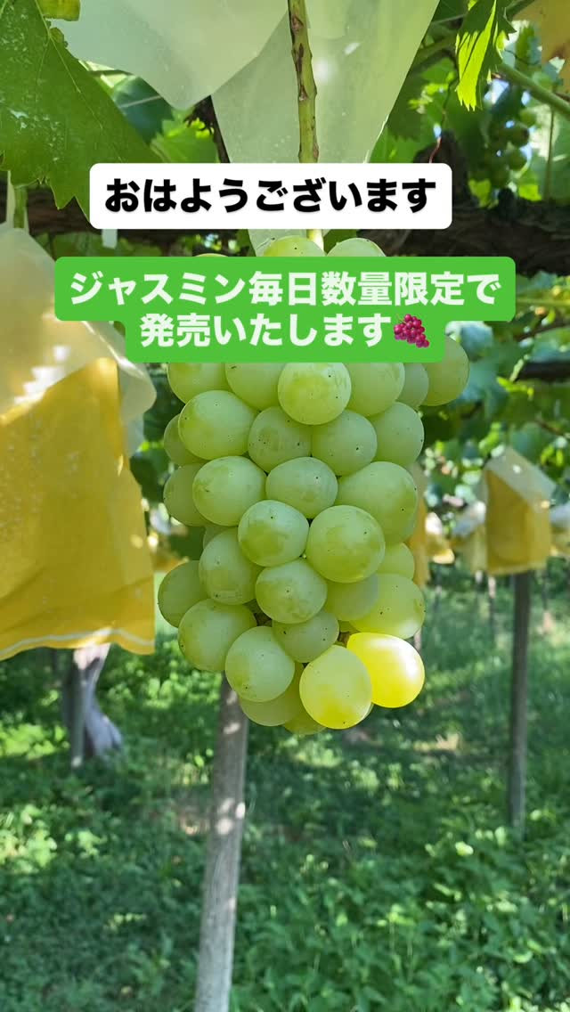 おはようございます☀