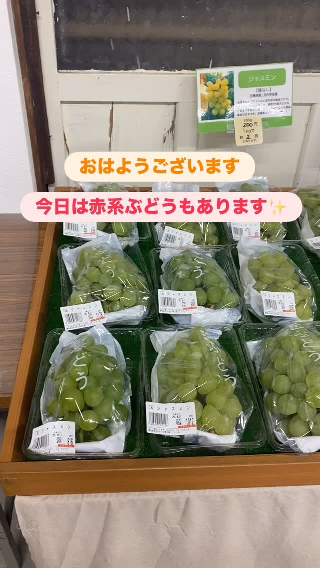 おはようございます♪