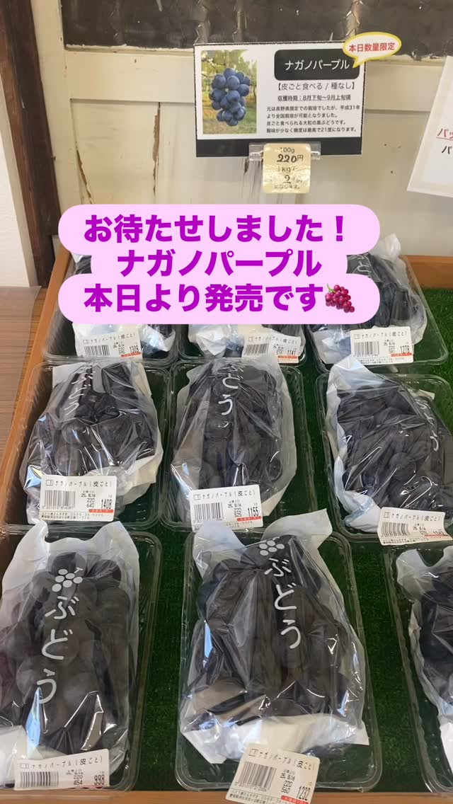 おはようございます♪