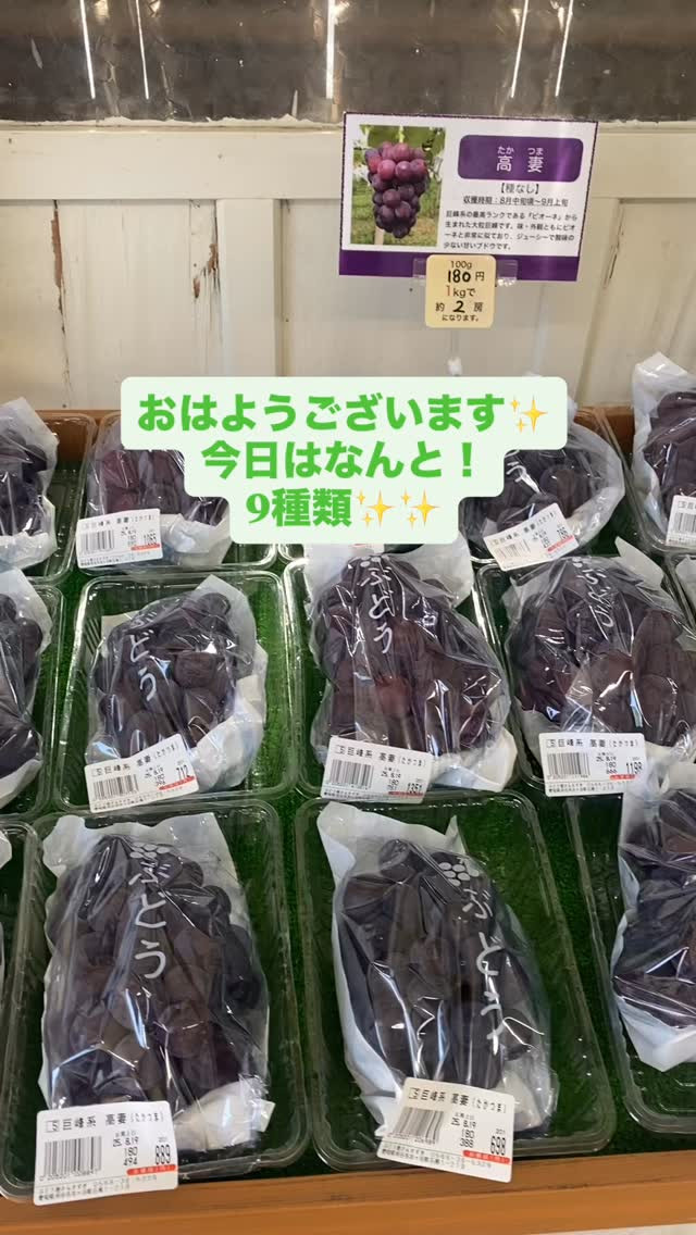 おはようございます☀