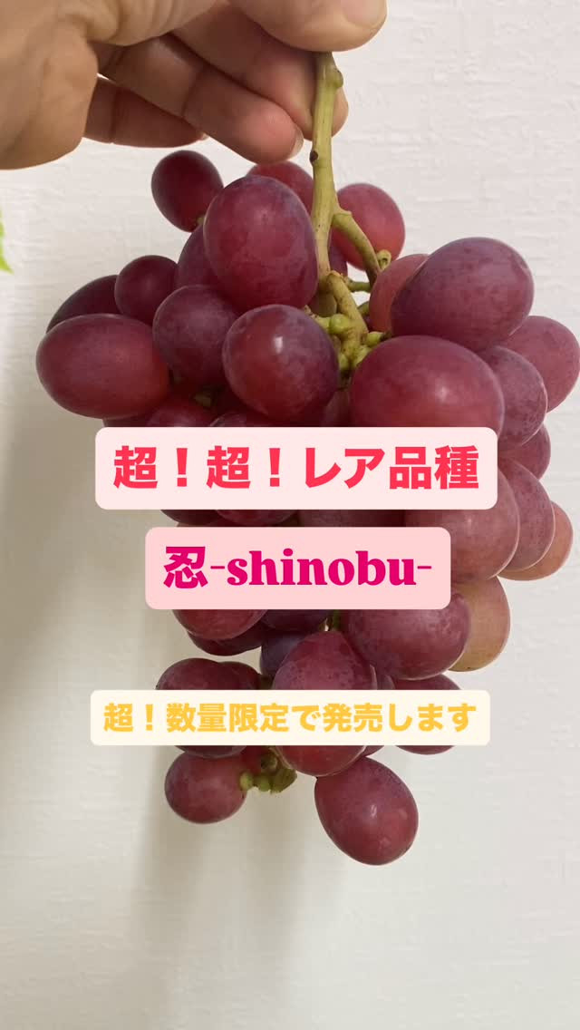 おはようございます♪