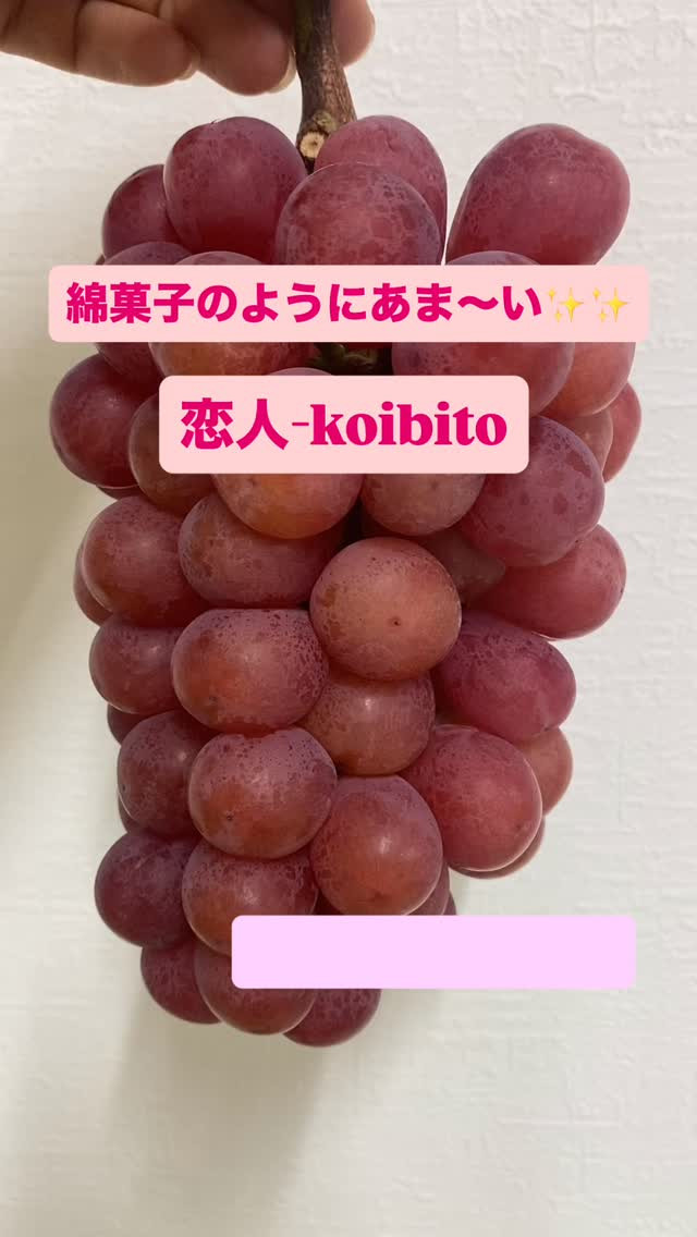 おはようございます♪