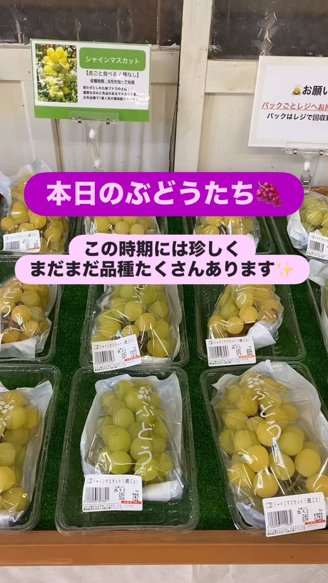 おはようございます🌞