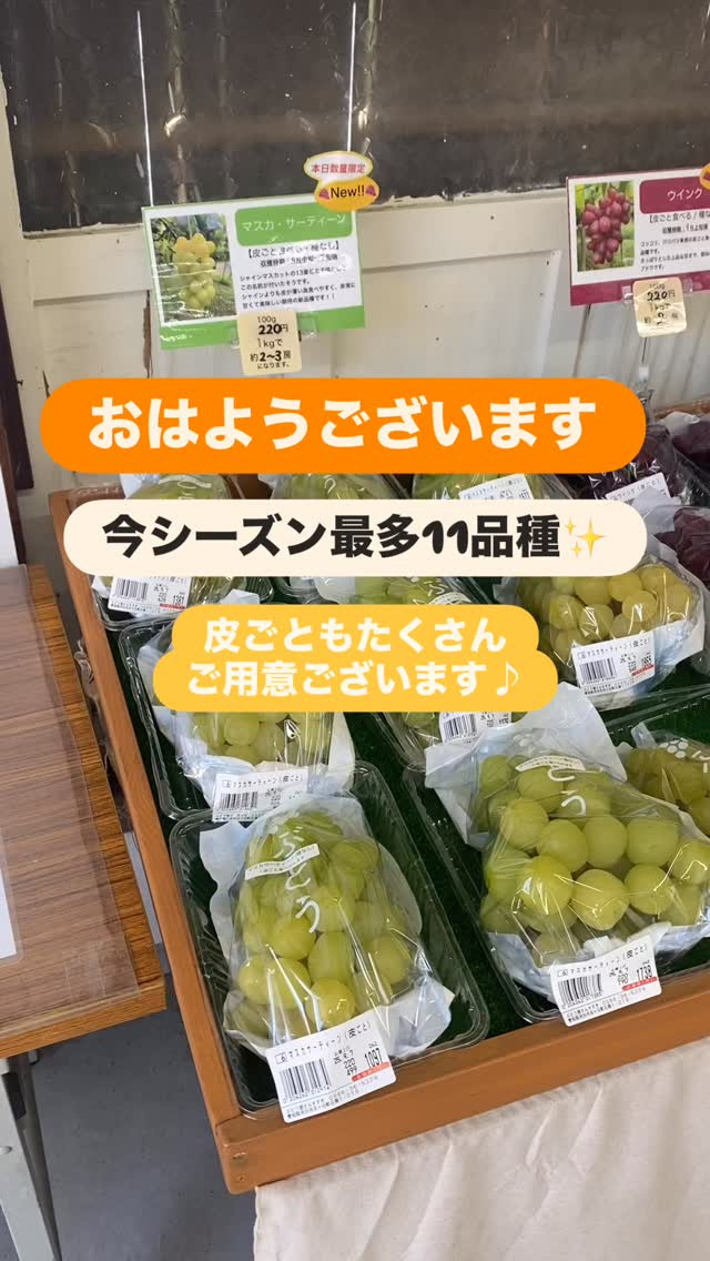 おはようございます🌞