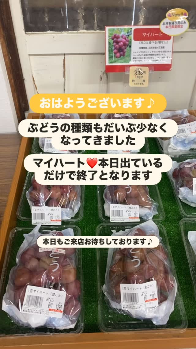 おはようございます☀