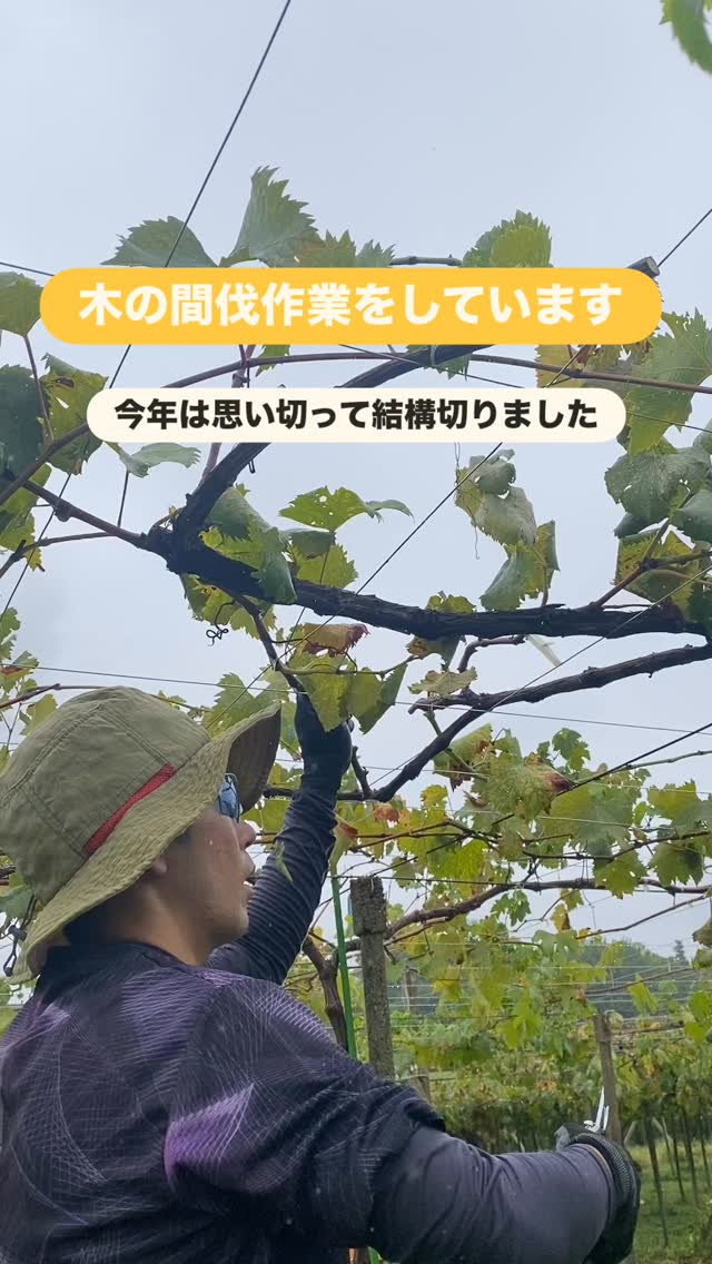 おはようございます♪