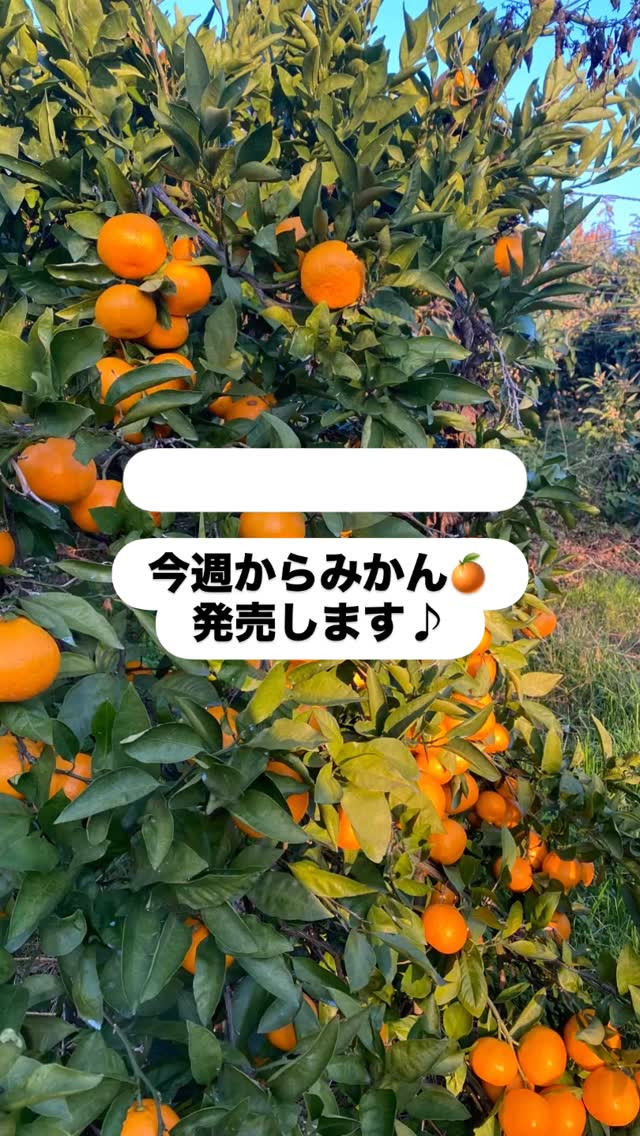 おはようございます😃