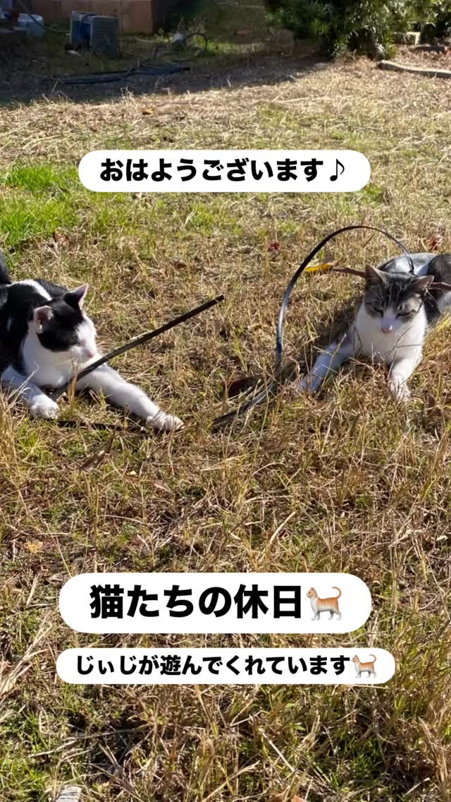 おはようございます🌞