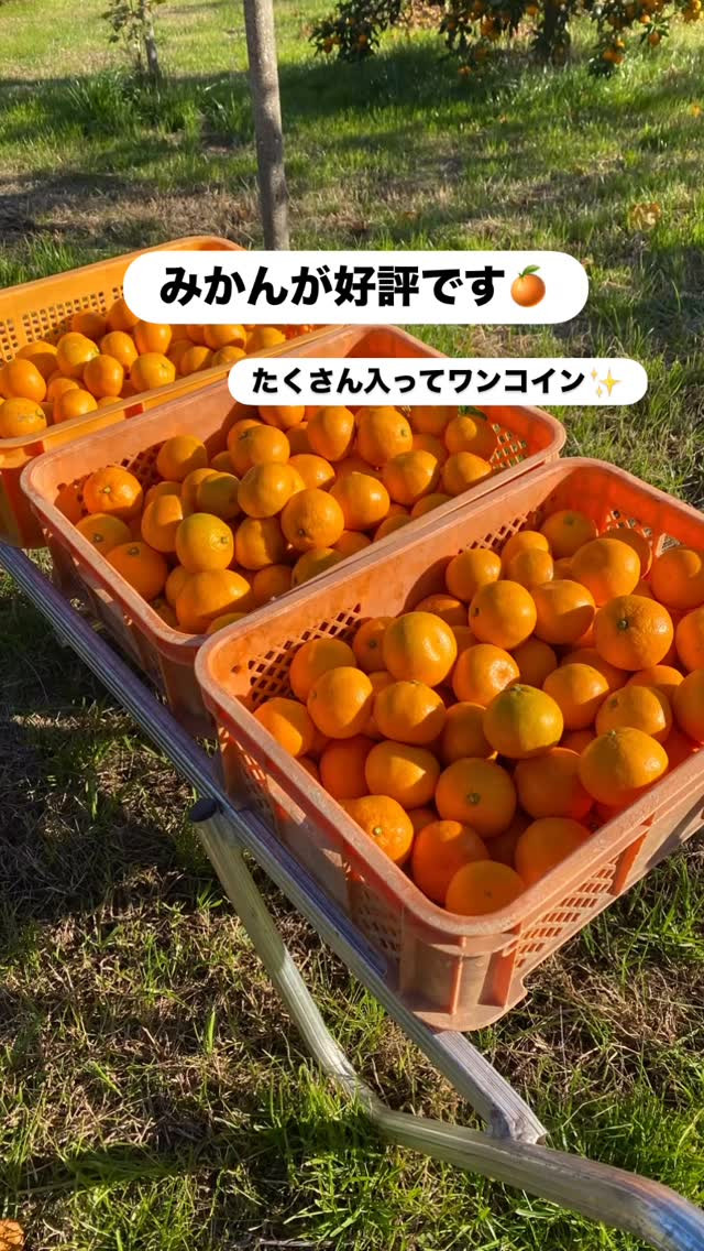 おはようございます🌞