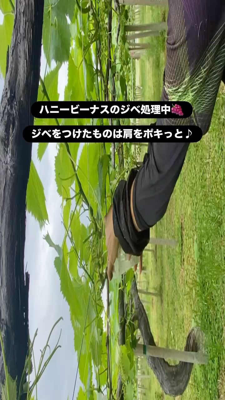 おはようございます🌞