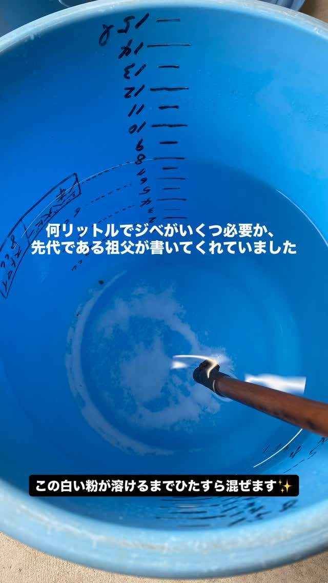 ぶどう屋さんすずきです🍇