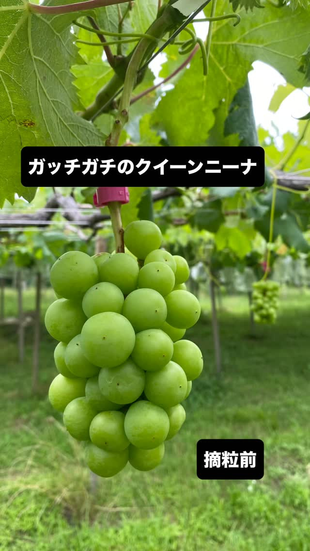 おはようございます☂️
