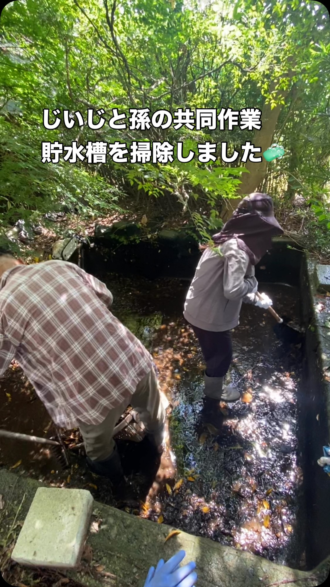 ぶどう屋さんすずきです🍇