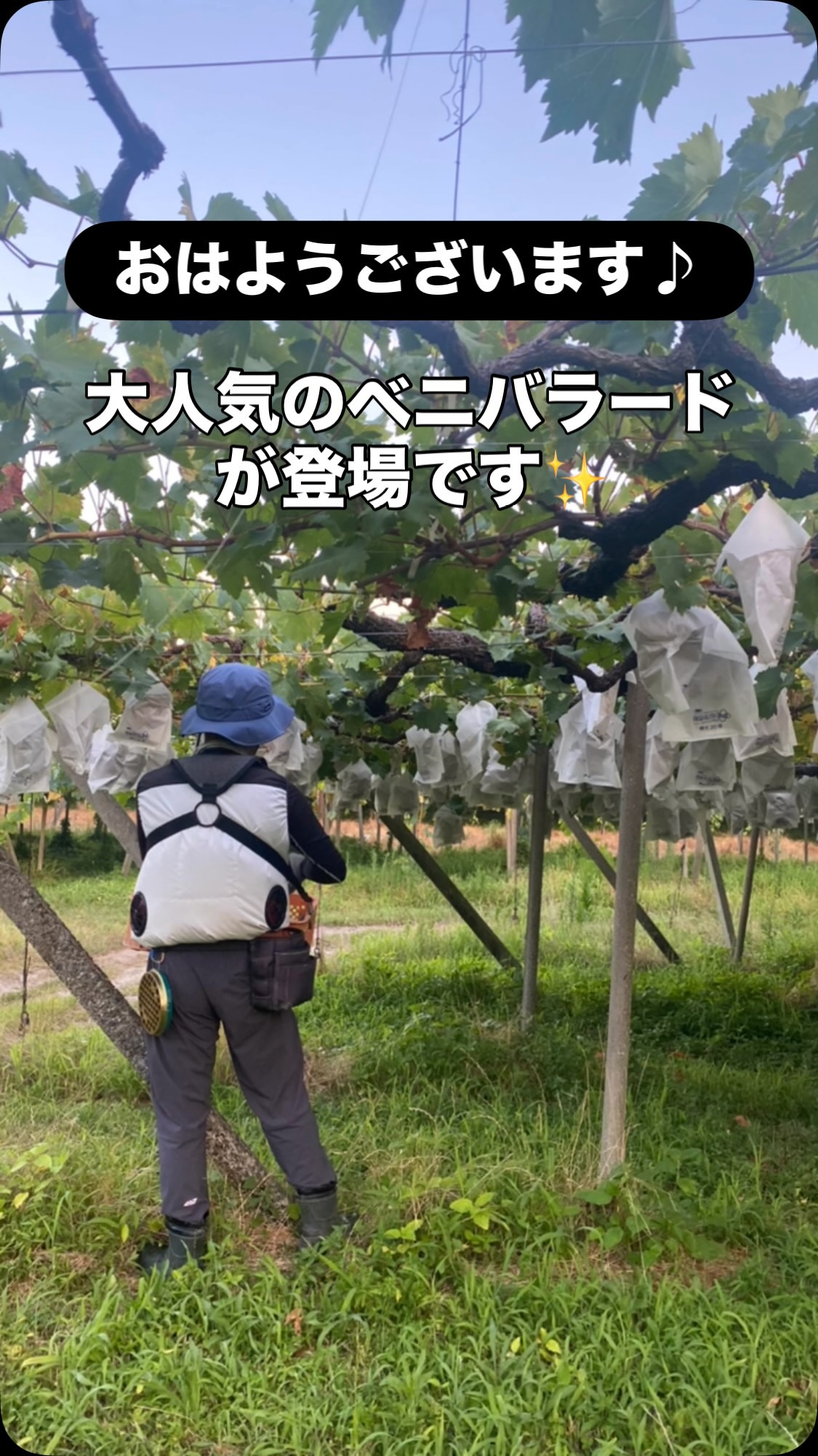 おはようございます♪