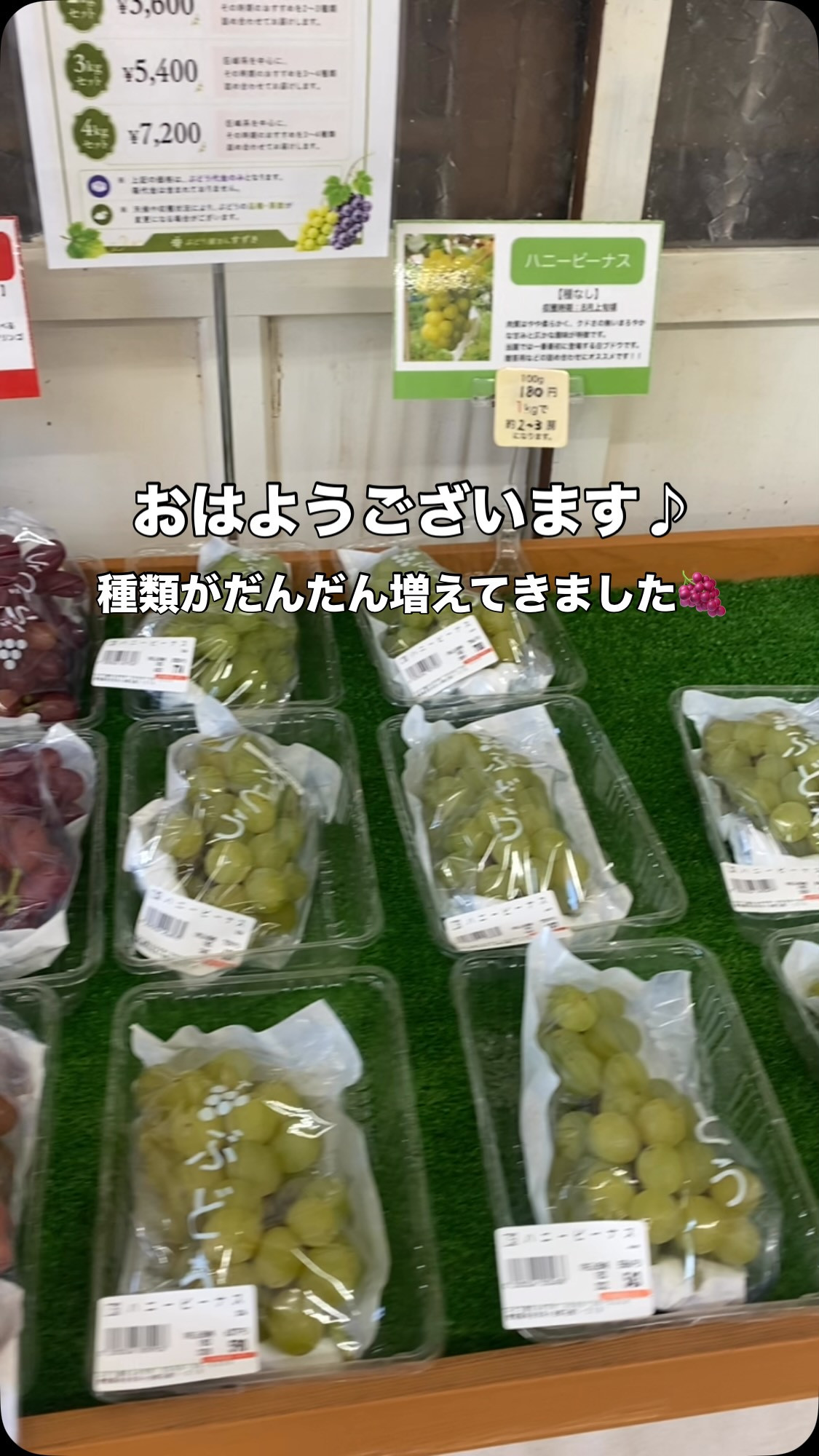 おはようございます♪